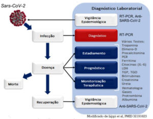 O papel crítico da medicina laboratorial durante a pandemia de SARS-CoV-2